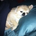 Keith Darter - @KeithD07 - Twitter