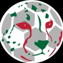 Team Melli Talk! The first YouTube show in English dedicated to the national team of Iran! https://t.co/Ol5MCmXKFT