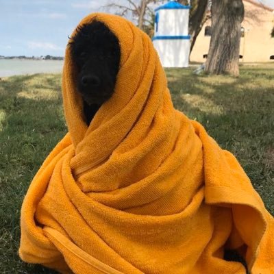 sokic_ana's profile picture. 