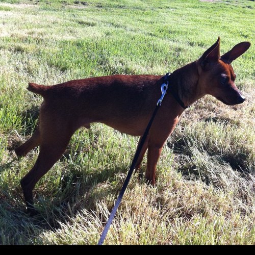 Stellsbells79's profile picture. I love coffee, tea, cigars, my wife Amy, my dog Axl, cats 1st & 2nd, music, bikes and my sweet van!