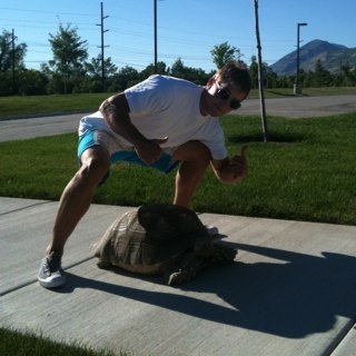 Found this turtle as it was heading towards a highway, luckily we found the owner apparently it is really rare.