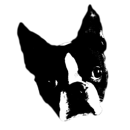 barkbite's profile picture. Designer, aspiring runner, champagne drinker, high-fiver.