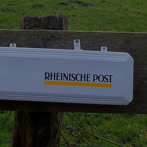 levschuetz's profile picture. 