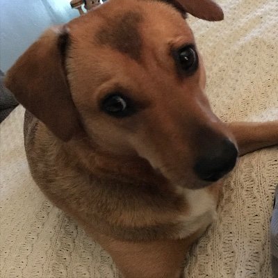theotherniq's profile picture. 