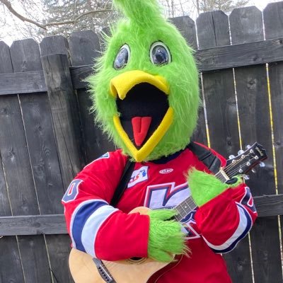 Official page of the ECHL Kalamazoo Wings mascot Slappy! To find out how you can book Slappy at your next event email slappy@kwings.com for more info!