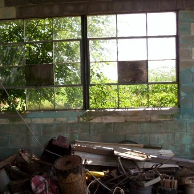 tulitheunruly's profile picture. Pro-Choice, Rural Liberal, Foodie. Supports equal opportunity and healthcare access. Photo is of Blackhawk Airport before it was demolished. Banner by Freepik.