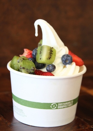 Exciting eco friendly self serve yogurt concept!! Over 12 flavors and 52 toppings. Sugar Free, Fat Free, Kosher.
