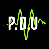 PDU - Paranormal Detection Unit (@pduunit) 's Twitter Profile