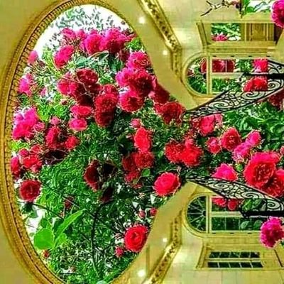 Aisha15637184's profile picture. Allah Is The Great