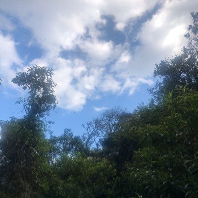 lpo60's profile picture. 