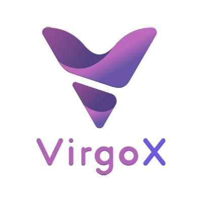 VirgoX_Exchange Profile Picture