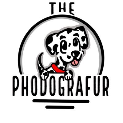 ThePhodografur Profile Picture