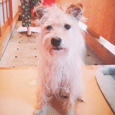 nk19980909's profile picture. 笑顔を絶やさない女性になります ⌄̈⃝ヤギデス