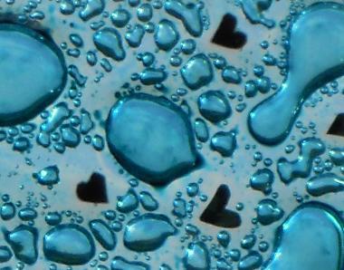 Kim_Goulden's profile picture. 