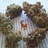 Sir_Kushington's profile image