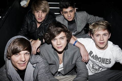 This is a support page for the AMAZING One Direction. Harry, Liam, Louis, Niall and Zayn = PERFECTION! WE FOLLOW BACK :) x