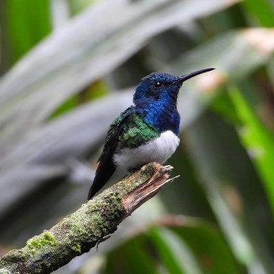 日本🇯🇵→エクアドル🇪🇨へのコロナ下緊急支援プロジェクトです。 現地の状況や支援の報告などを随時アップしていきます！ ご支援の申し出を受けて、寄附の受付を延長中です！
https://t.co/Yvf3gWnCEb