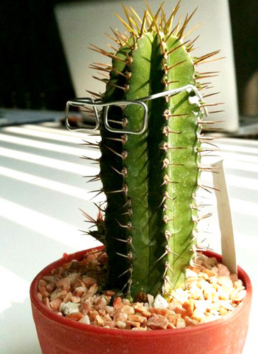 jknotnow's profile picture. 