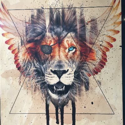 soldatheero's profile picture. Musician, electrician and gamer