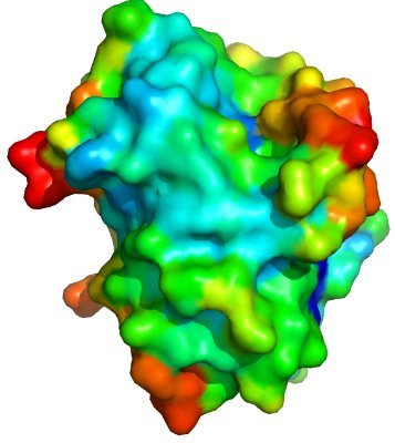 Get all the key parameters for your proteins. Enter DNA for translation or an OD280 to determine protein concentration for calculated extinction coefficient.