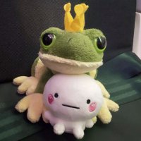 だんぼう (@supernova_h5) 's Twitter Profile