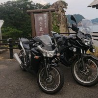 ゴリライダー🦍 (@zj86z6imk47utfz) 's Twitter Profile