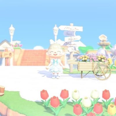しーたんさんのプロフィール画像