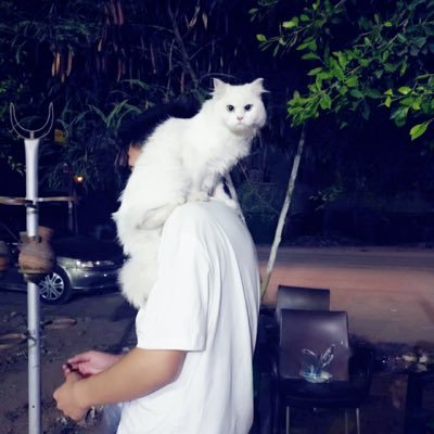 FangXuanLiu's profile picture. 