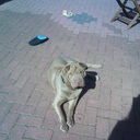 Craig Boyd - @boydy74 - Twitter