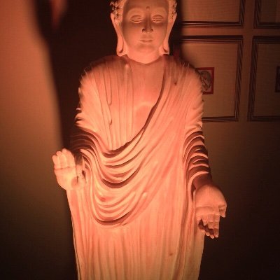 Tapasviyogi's profile picture. Speaker - monk by heart- Consultent