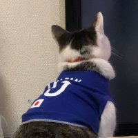 さんにぃしーま (@32cima32) 's Twitter Profile