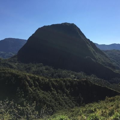 smugglershunter's profile picture. Il aime la vie, son métier, l'île de la réunion 🏝️ et l'OM.