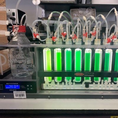 We are a microbiology group based at the University of East Anglia, working on industrially relevant microbes. Follow us for updates!