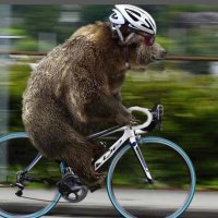 bear_on_a_bike💙(@bearonabike3) 's Twitter Profile Photo