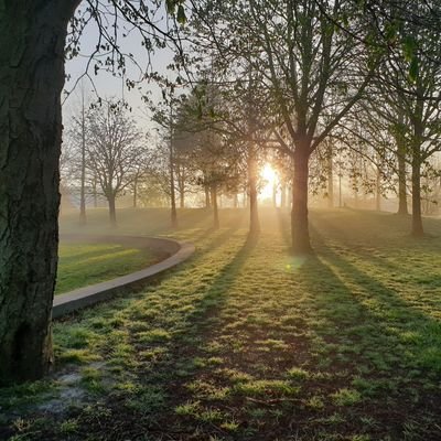 robthart's profile picture. 