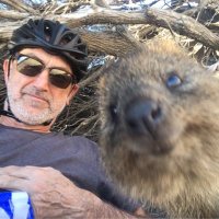 Siegy Krauss (@siegyk) 's Twitter Profile
