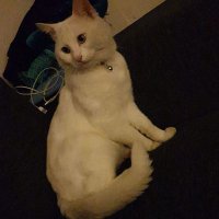 ( 3+1 SAĞLIK PERSONELİ) (@trkdrmaz) 's Twitter Profile Photo