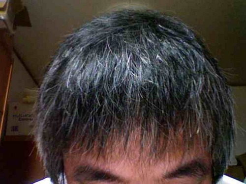 SAXOZN's profile picture. 