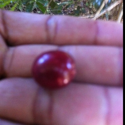 MaryTellie's profile picture. Electric City Roasting Co.