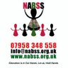 NABSS3's profile picture. The UK national umbrella group for Black Supplementary schools.