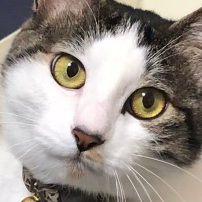 FG_nannya's profile picture. 