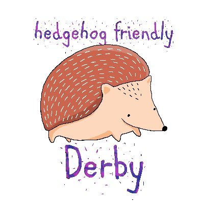 Working to create a hedgehog friendly campus at @derbyuni 🦔 This account is managed by students 🦔