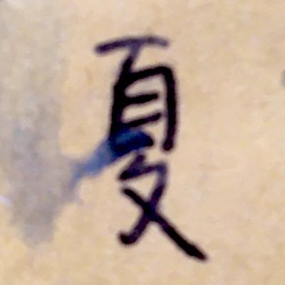 蝉さんのプロフィール画像