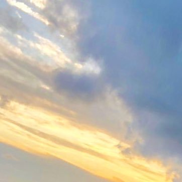 nmbvfnbc's profile picture. 