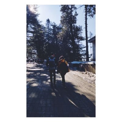 ApurvaS71460742's profile picture. 