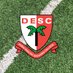 PE & Sport | DESC Dubai (@DESCpe) Twitter profile photo