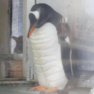 ArsTkd's profile picture. ゲームばかりしている。 CGアニメータ1年目 mayaオンリー ue4 チョットワカリマス