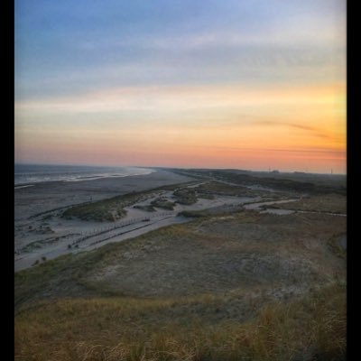 Simone71345038's profile picture. 