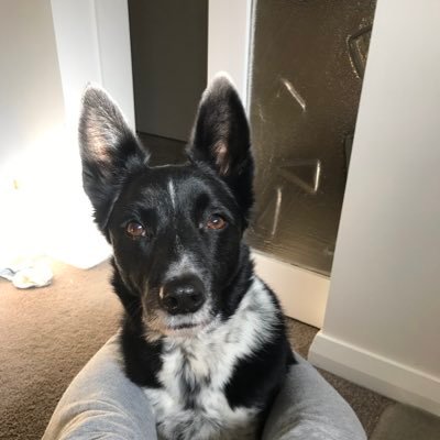 just_asx's profile picture. Investor/trader 🇦🇺🇺🇸, love hiking & travelling. "Be fearful when others are greedy, and greedy when others are fearful" - Warren Buffett