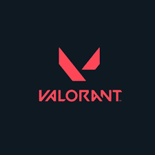 Valorant Support